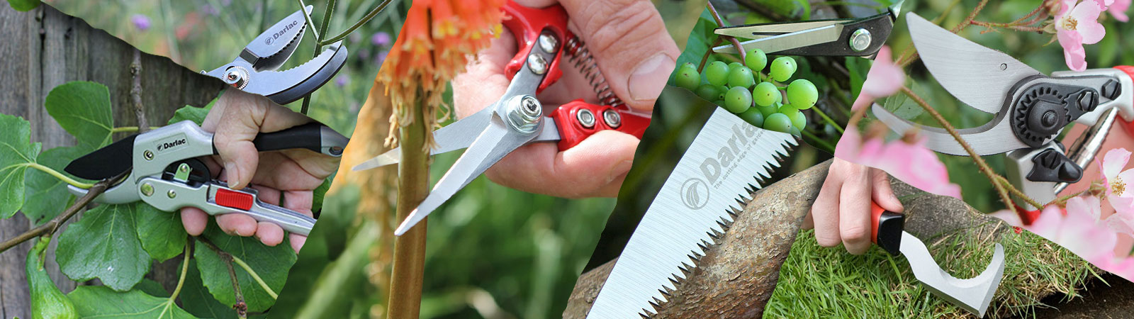 Darlac garden tools