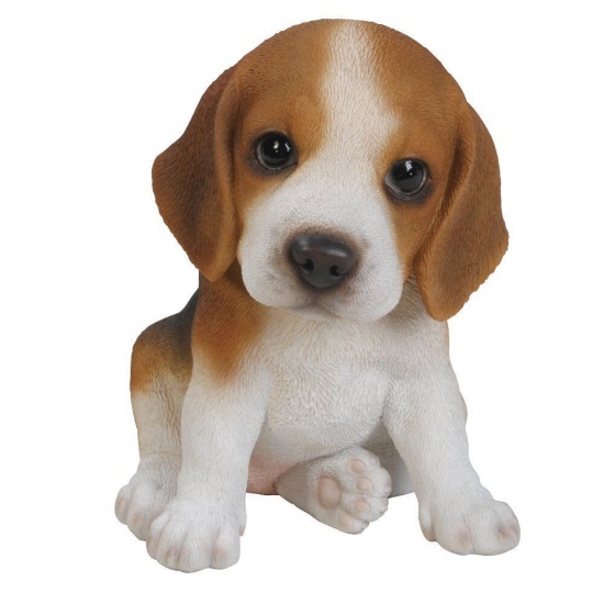 Beagle Puppy by Vivid Arts