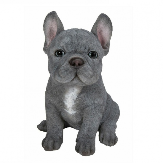 Blue French Bulldog Puppy by Vivid Arts