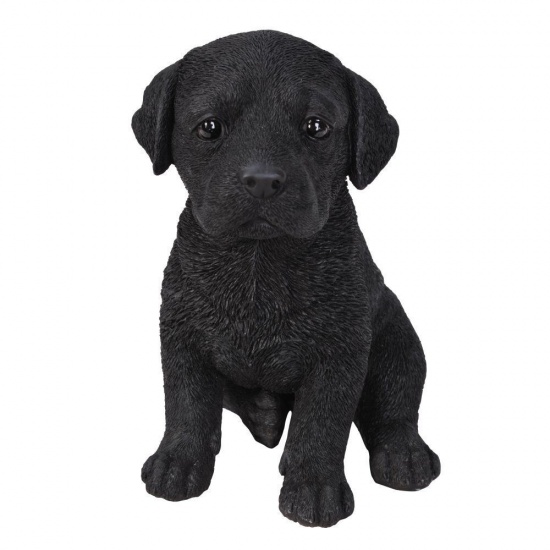 Labrador Black Puppy by Vivid Arts