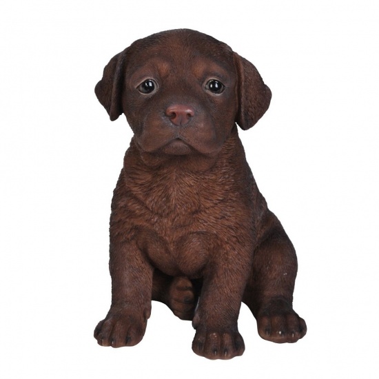 Labrador Chocolate Puppy by Vivid Arts