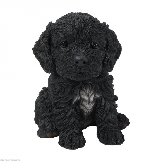 Cockapoo Black Puppy by Vivid Arts