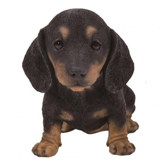 Dachshund Black/Brown Puppy by Vivid Arts