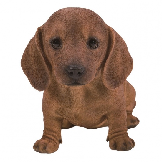 Dachshund Brown Puppy by Vivid Arts