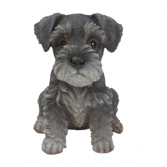 Miniature Schnauzer Puppy by Vivid Arts