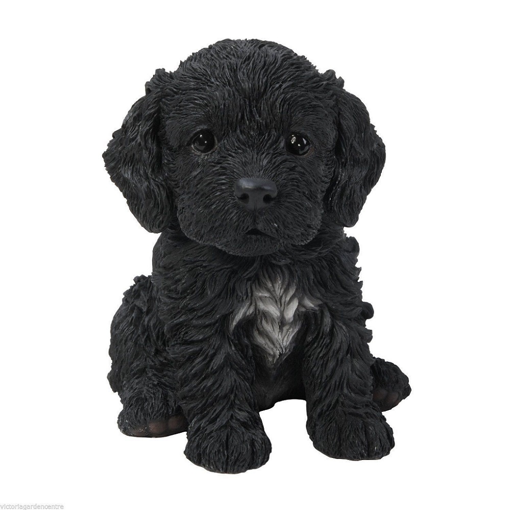 Cockapoo Black Puppy by Vivid Arts