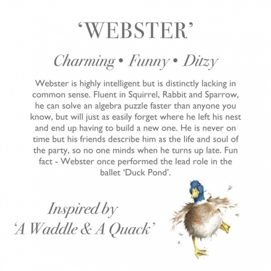 Wrendale 'Webster' Duck Junior Plush Character