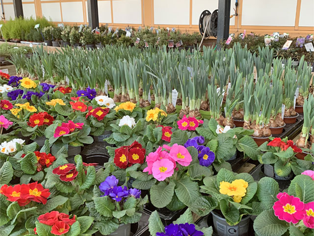 Victoria Garden Centre - Buy Gardening Tools & Essentials