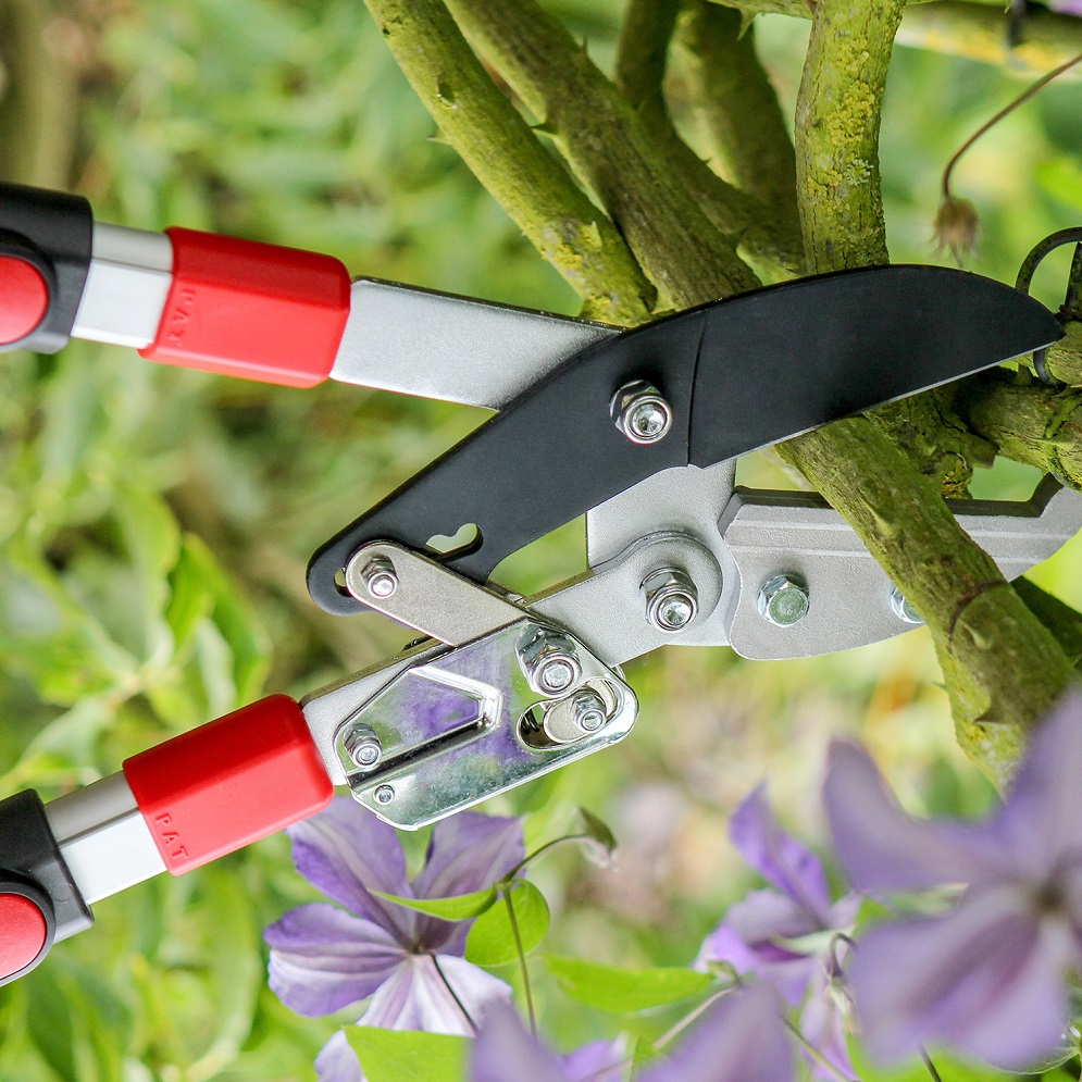 Darlac Telescopic Ratchet Loppers DP474A